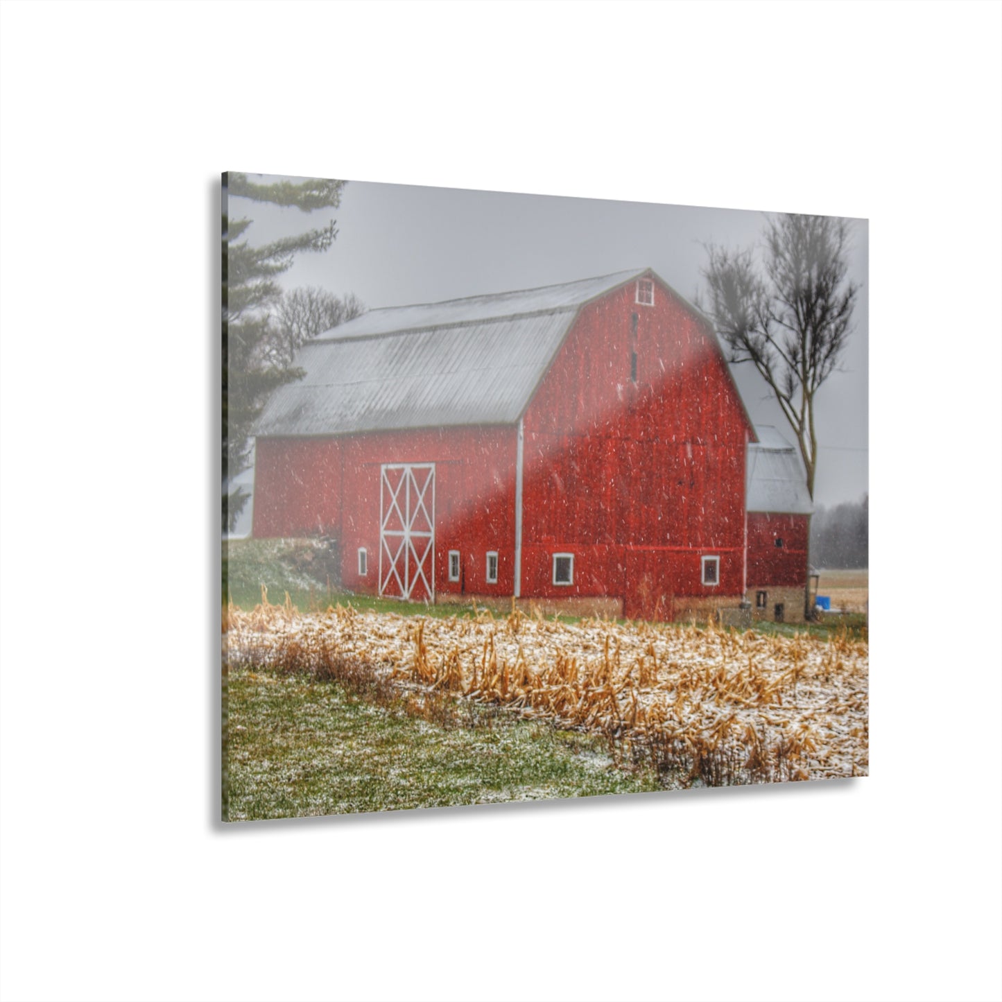 U R There Photography Shoemaker Road Winter Reds I Rustic Farmhouse Acrylic Wall Print