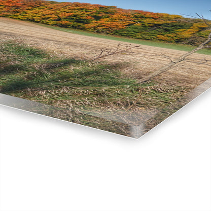 U R There Photography Fall on Piersonville Road Rustic Farmhouse Acrylic Wall Print