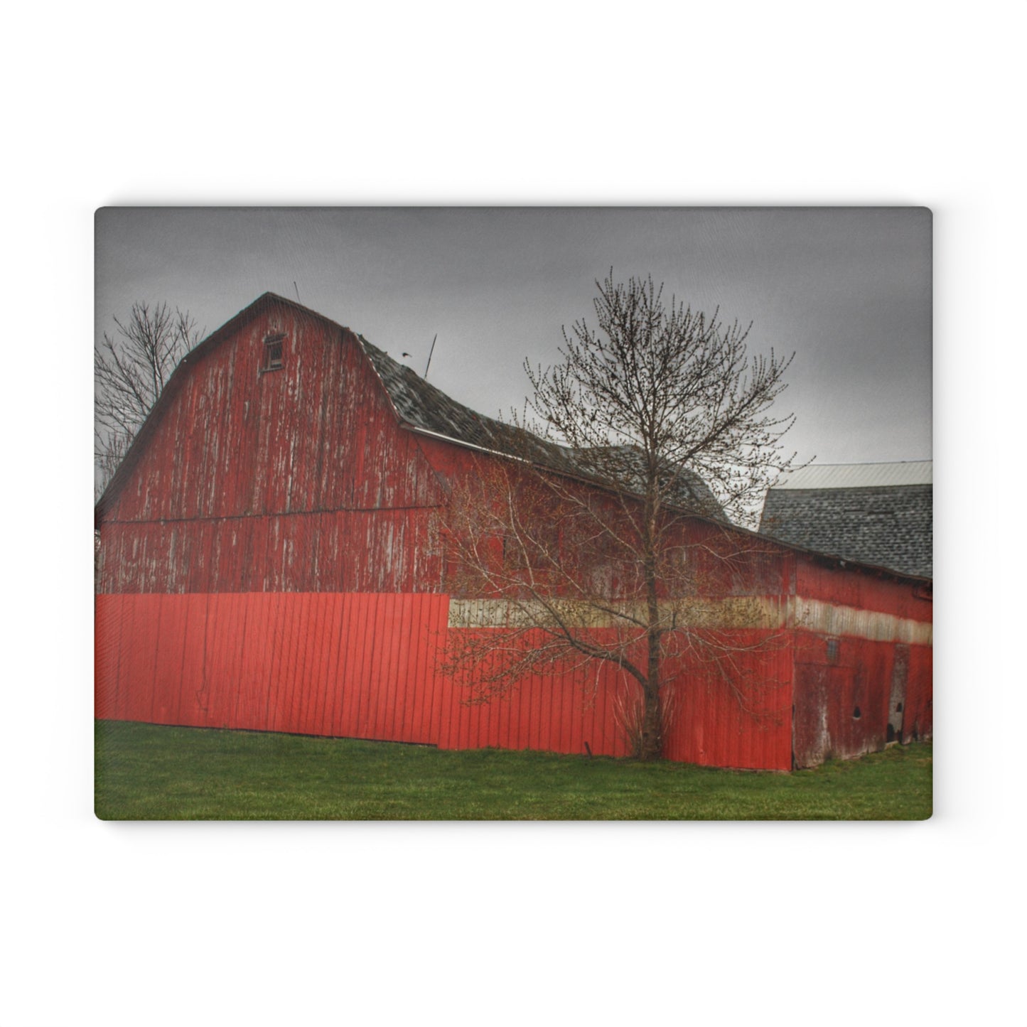 U R There Photography Almont Reds Rustic Farmhouse Tempered-Glass Cutting Board