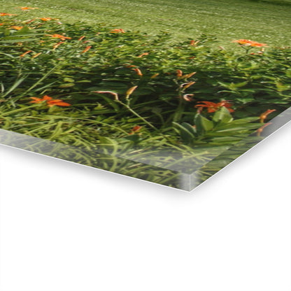 U R There Photography Millington Road Lilly Grey Rustic Farmhouse Acrylic Wall Print