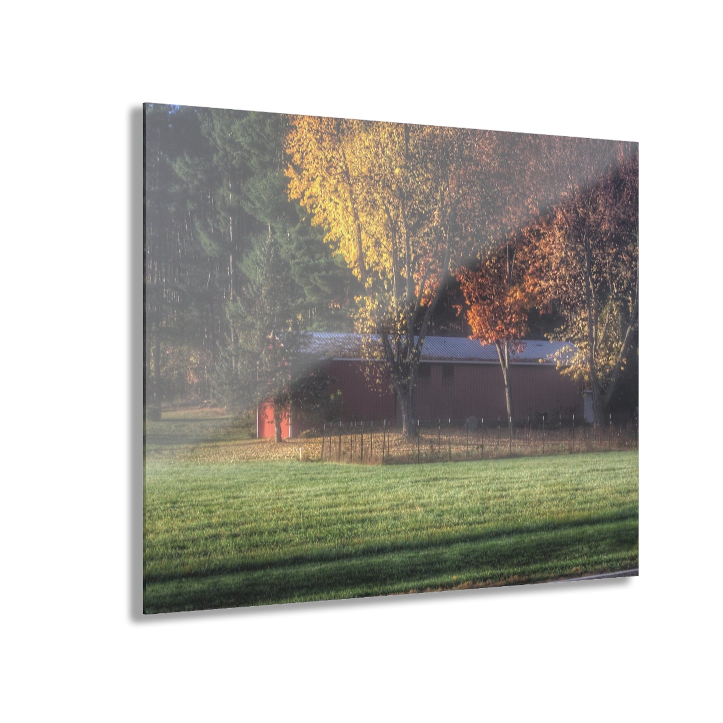 Barn Boutique Modern Farmhouse Acrylic Wall Print| Red Barn on a Foggy Fall Morning