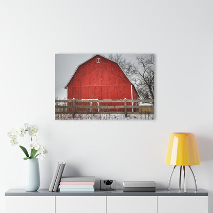 U R There Photography Big Red Beyond the Fence Rustic Farmhouse Acrylic Wall Print