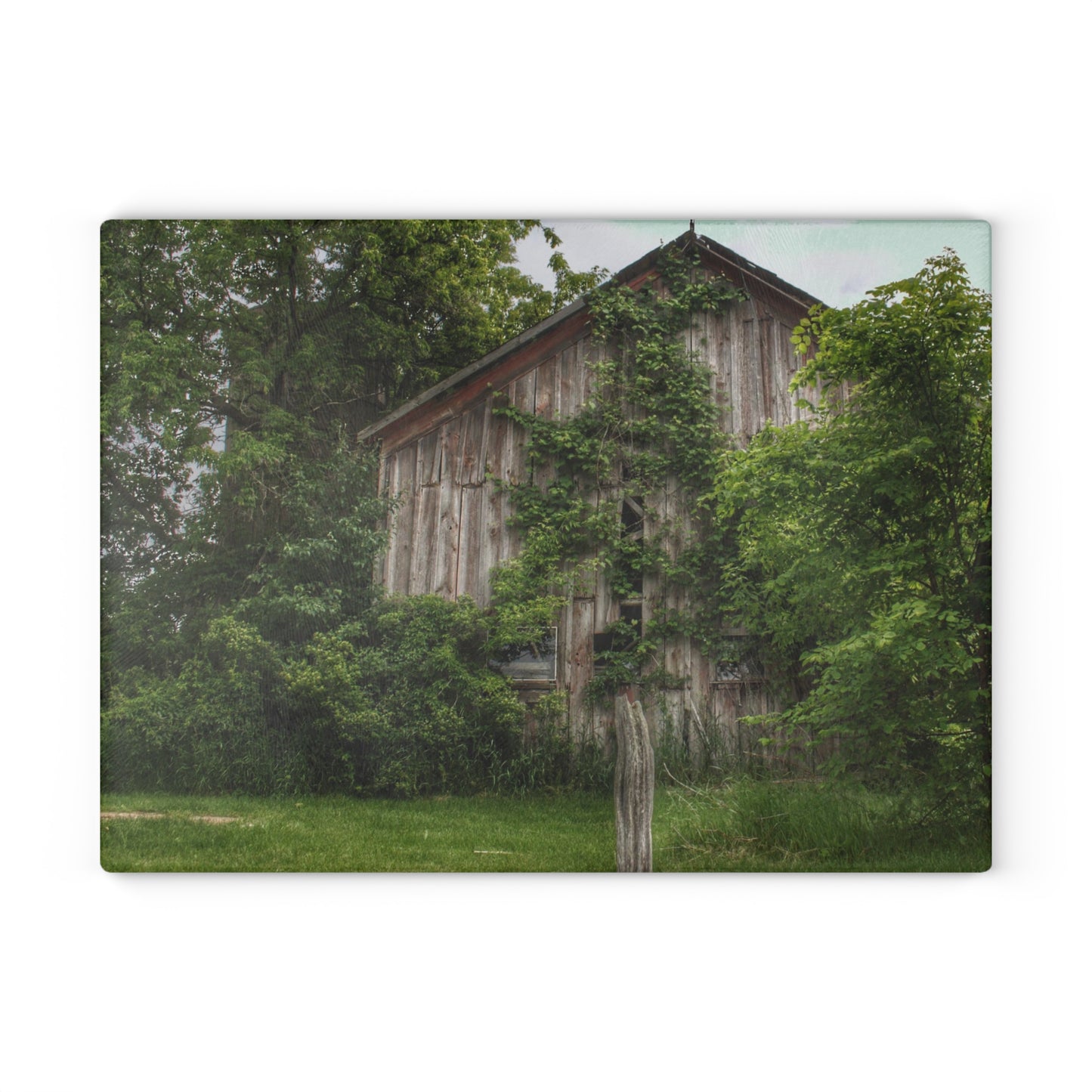 U R There Photography Imlay Hidden Rustic Farmhouse Tempered-Glass Cutting Board