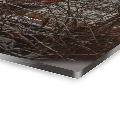 U R There Photography Sandhill Road Hidden Red II Rustic Farmhouse Acrylic Wall Print