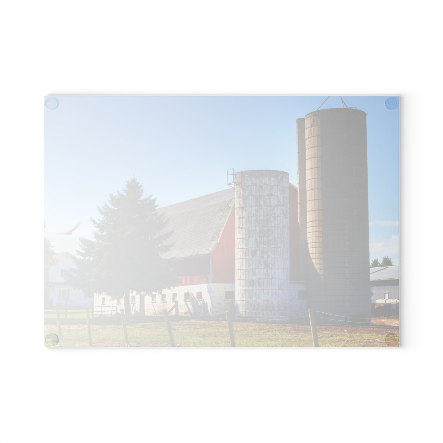 U R There Photography Hunters Creek Road Cow Barn I Rustic Farmhouse Tempered-Glass Cutting Board