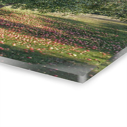 U R There Photography Frankenmuth Apple Tree Rustic Farmhouse Acrylic Wall Print