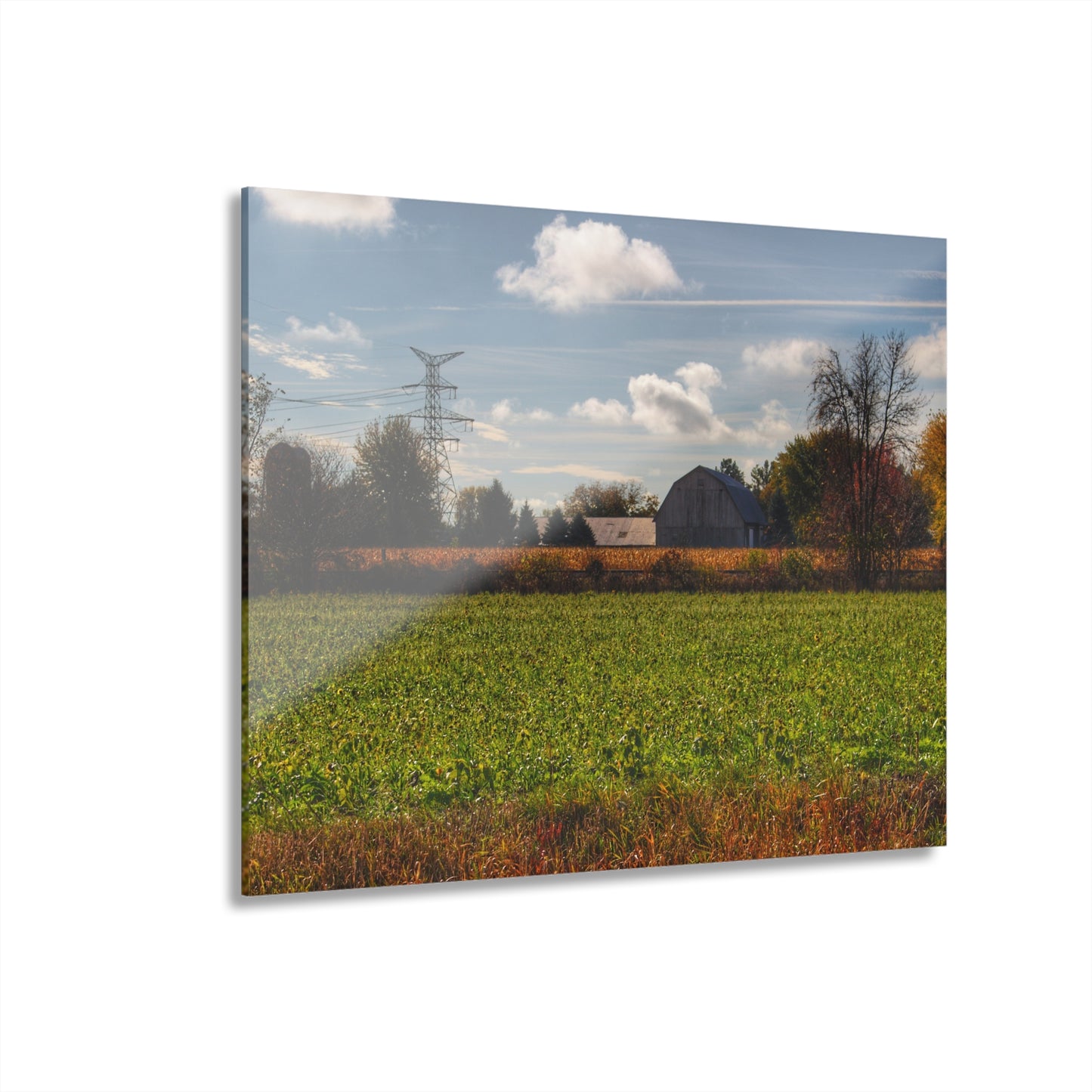U R There Photography Wadsworth Road Grey Rustic Farmhouse Acrylic Wall Print