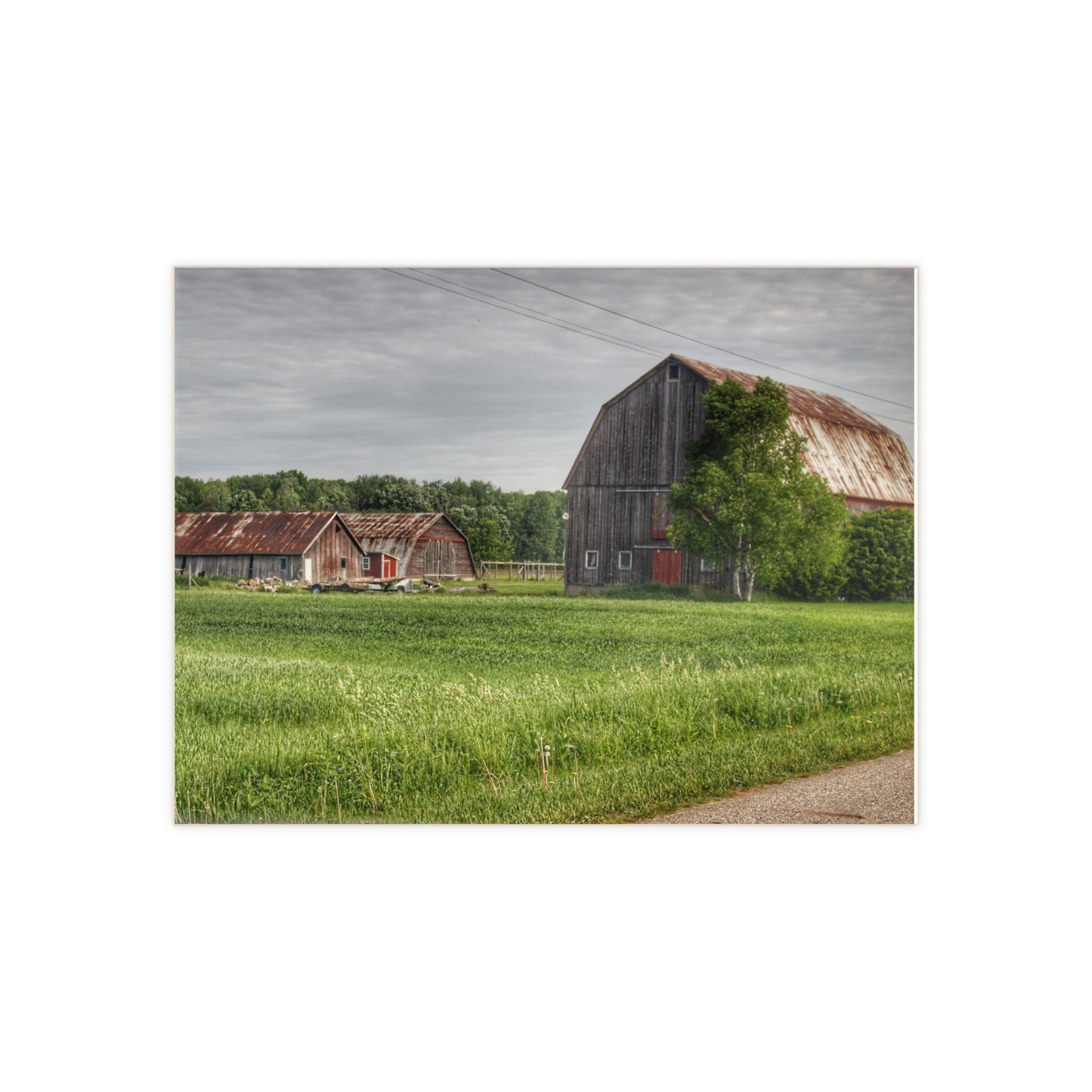 U R There Photography Barkley Road Trio Rustic Farmhouse Decorative Ceramic Tile