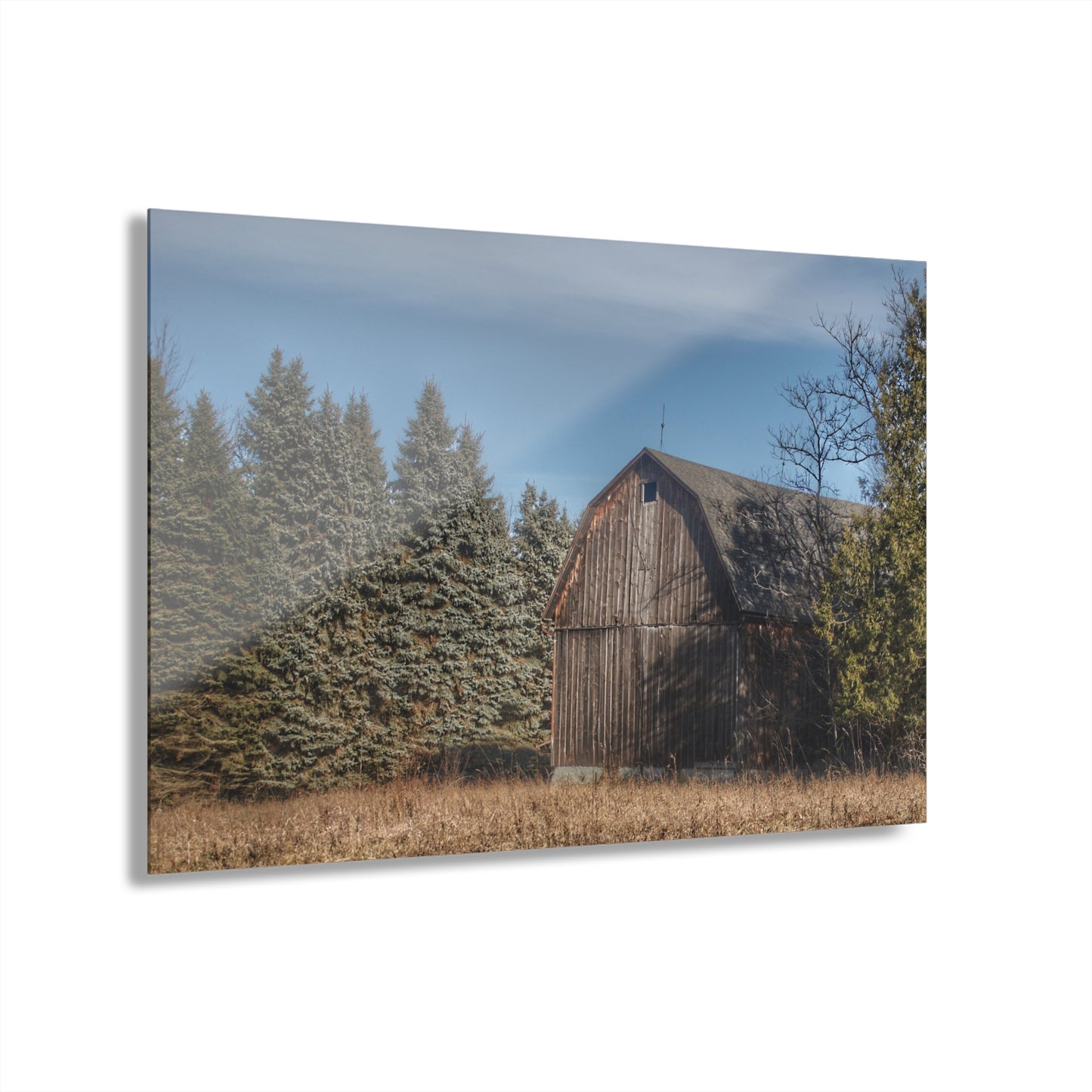 U R There Photography Washburn Old Grey Rustic Farmhouse Acrylic Wall Print
