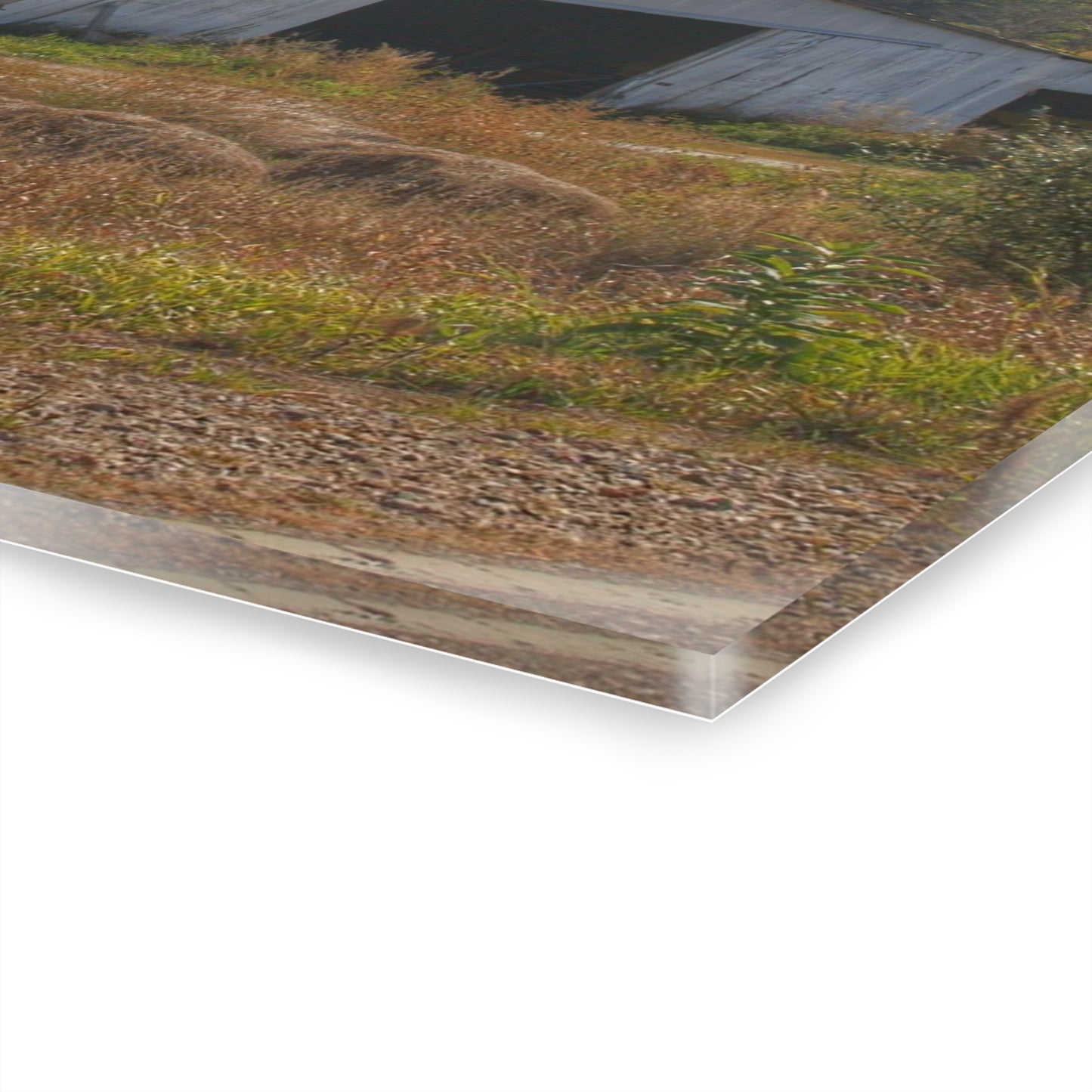 U R There Photography Hurds Corner Road Grey Shack Rustic Farmhouse Acrylic Wall Print