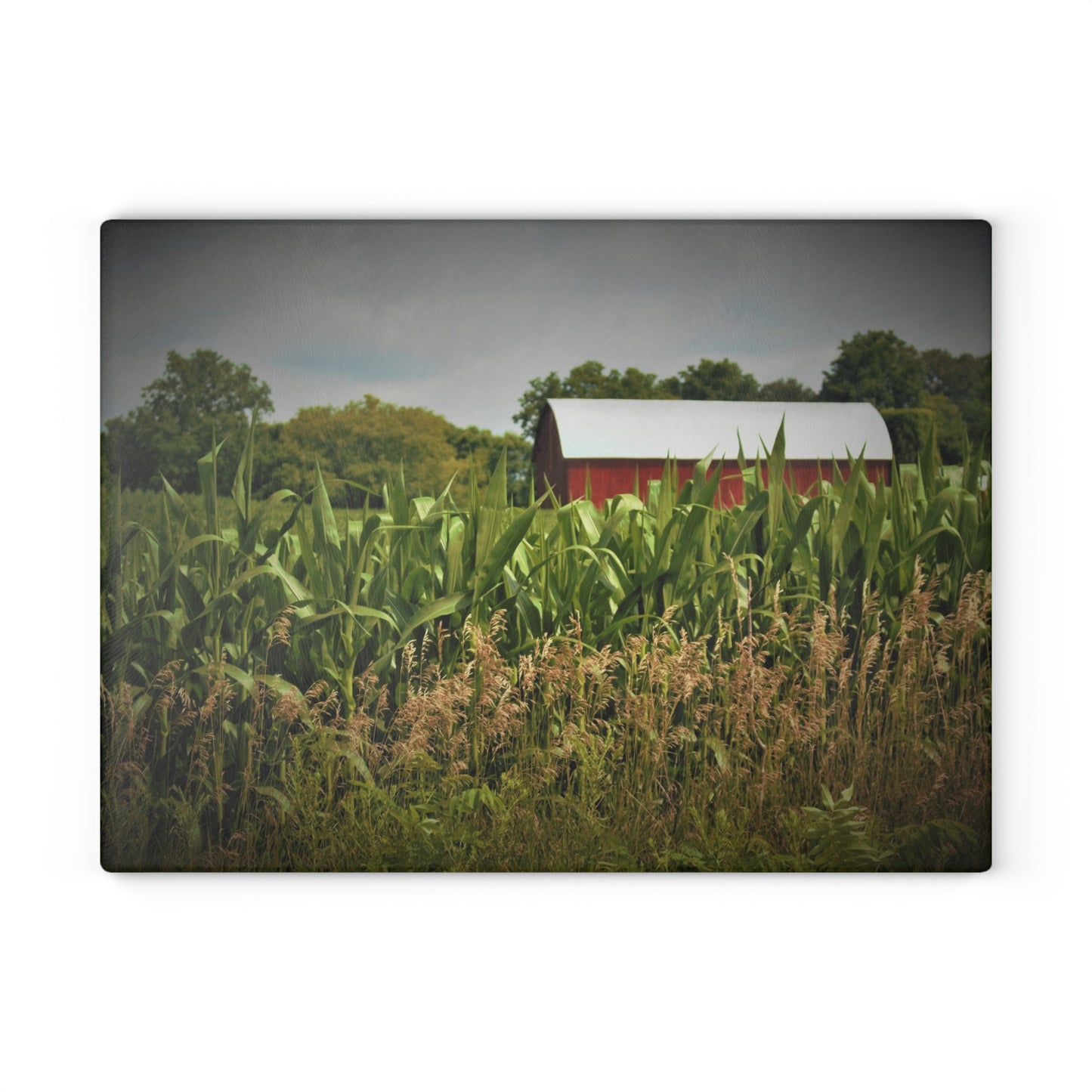U R There Photography July Corn Rustic Farmhouse Tempered-Glass Cutting Board