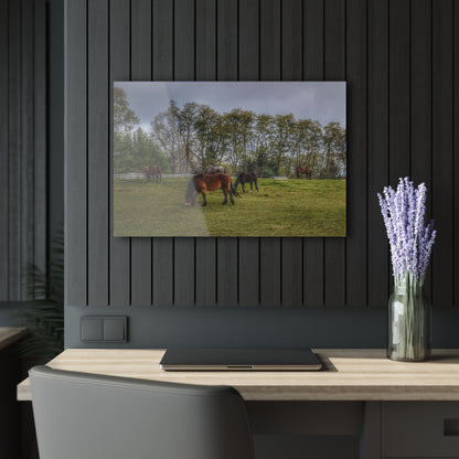 Barn Boutique Modern Farmhouse Acrylic Wall Print| Delano Ponies