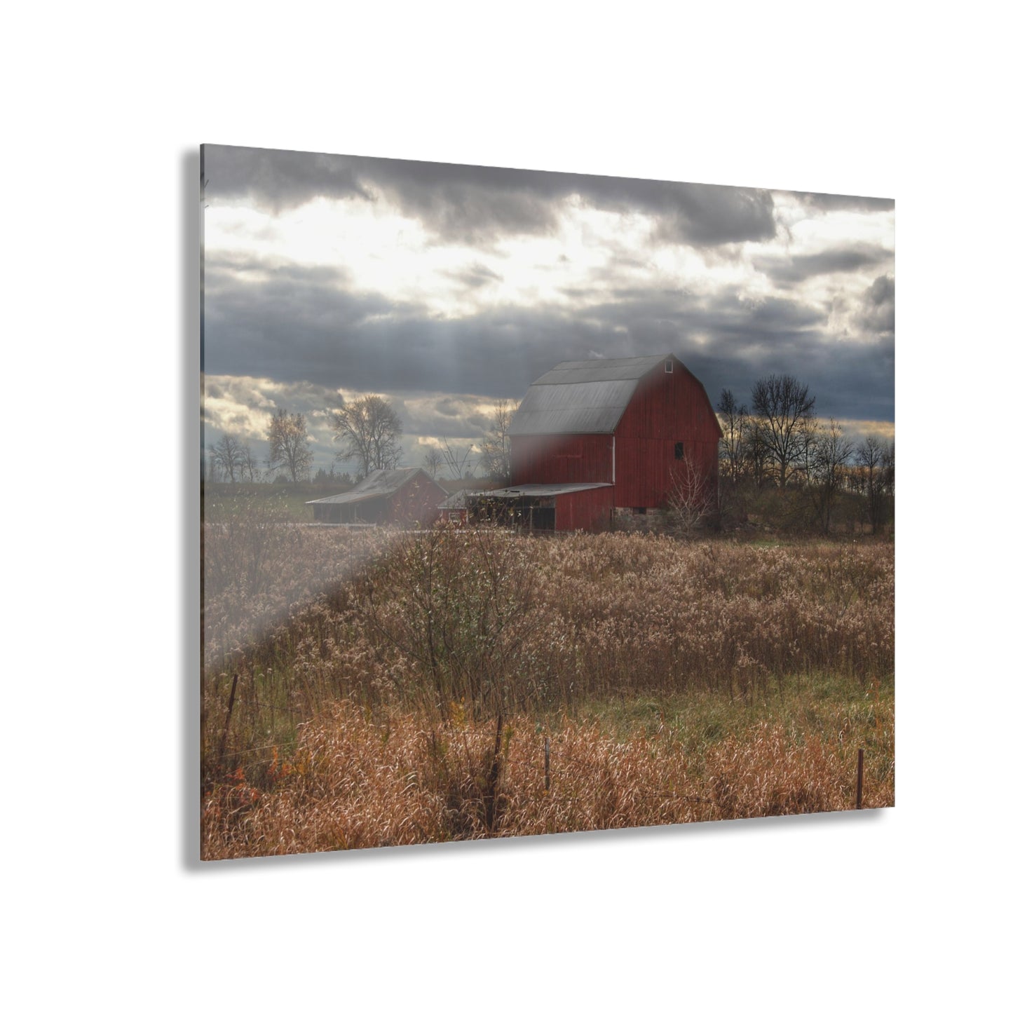 U R There Photography Booth Road Cow Barn II Rustic Farmhouse Acrylic Wall Print