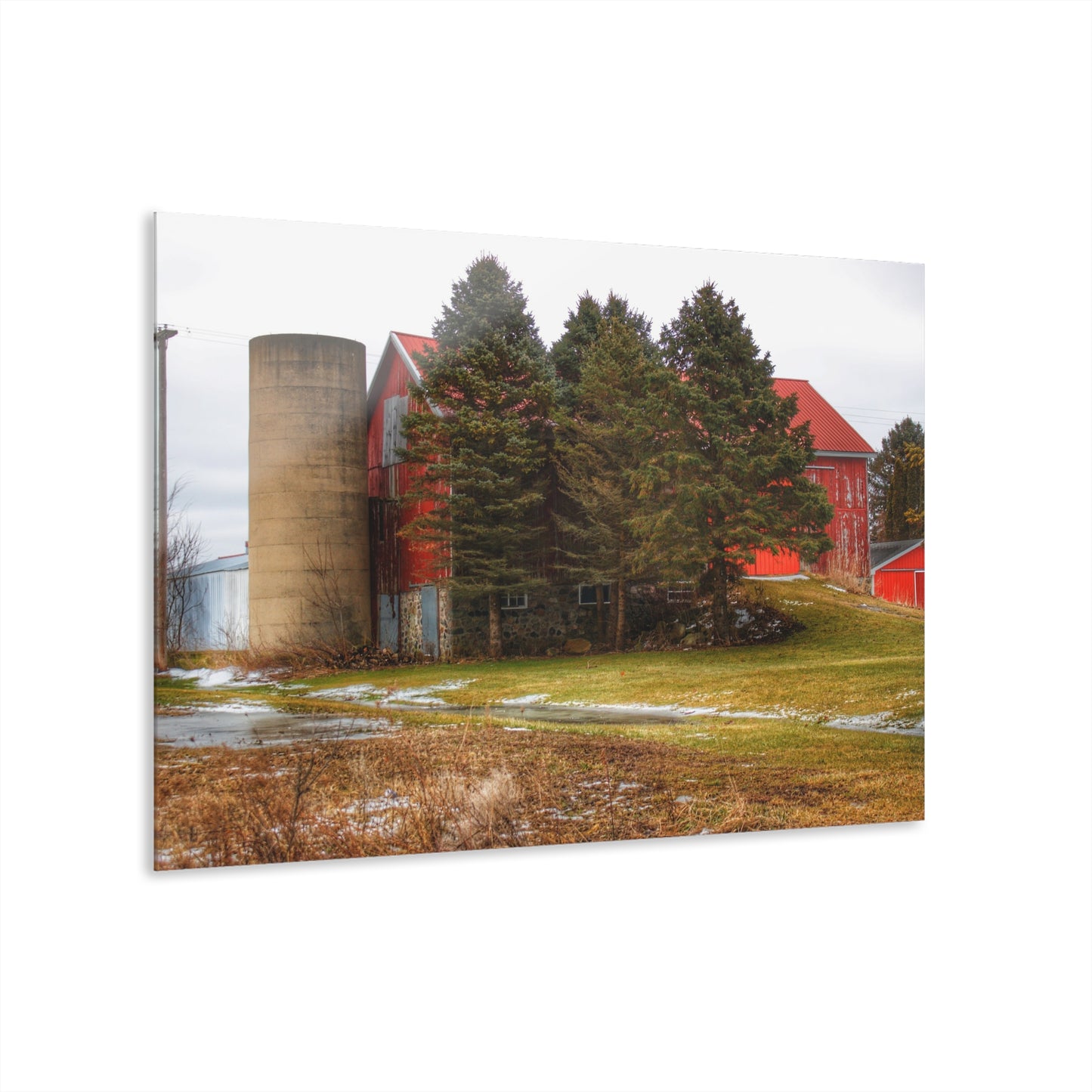 U R There Photography Laur Road Red Among the Pines III Rustic Farmhouse Acrylic Wall Print