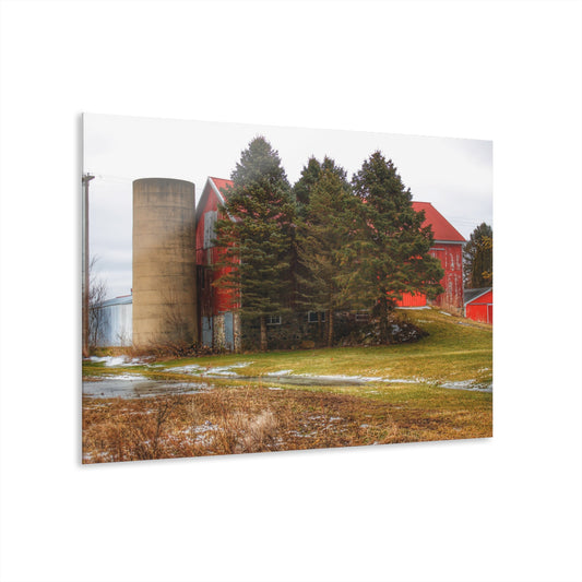U R There Photography Laur Road Red Among the Pines III Rustic Farmhouse Acrylic Wall Print