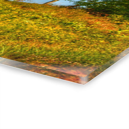 U R There Photography Hilltop High Grey Rustic Farmhouse Acrylic Wall Print