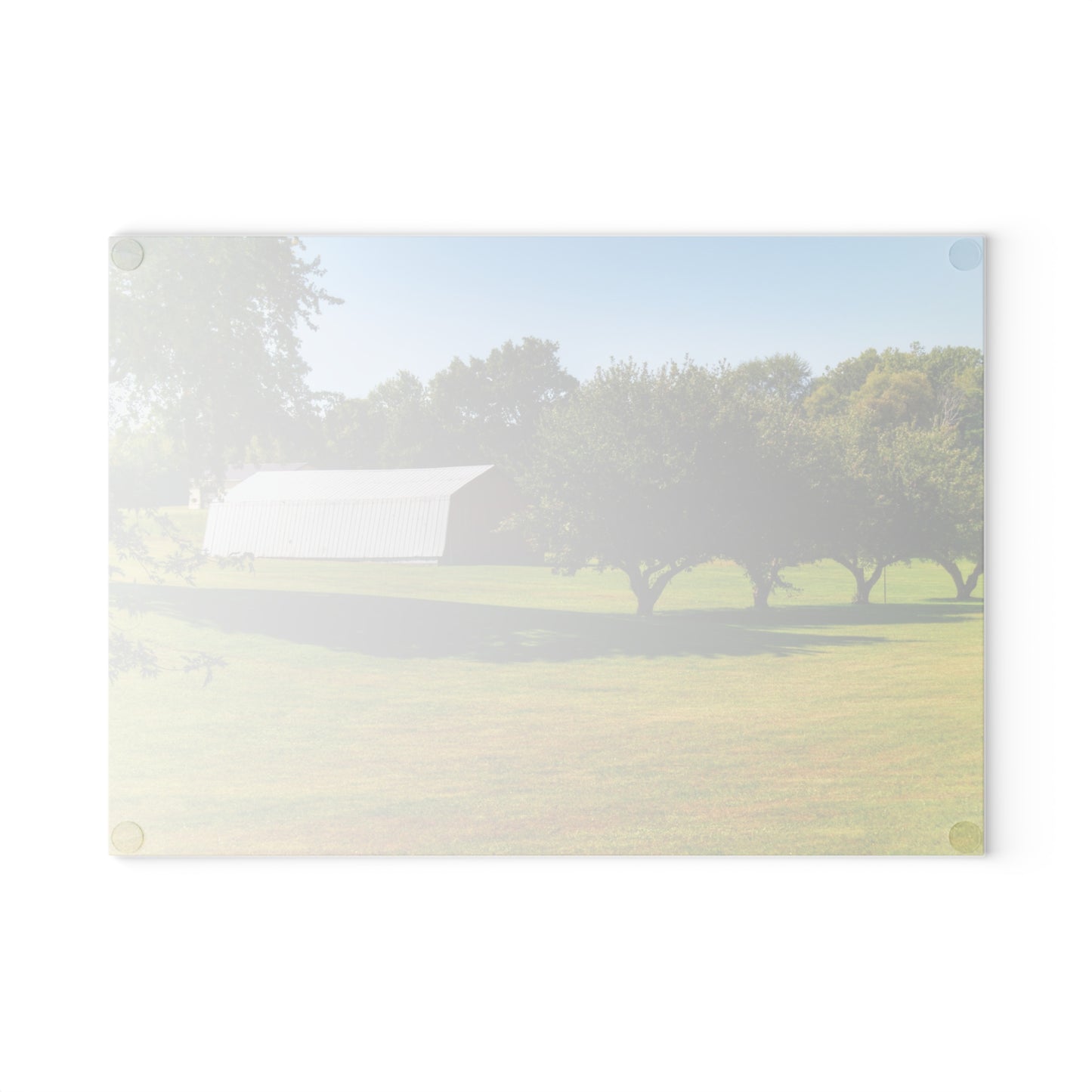 U R There Photography Lake Pleasant Road Hidden Quonset Rustic Farmhouse Tempered-Glass Cutting Board