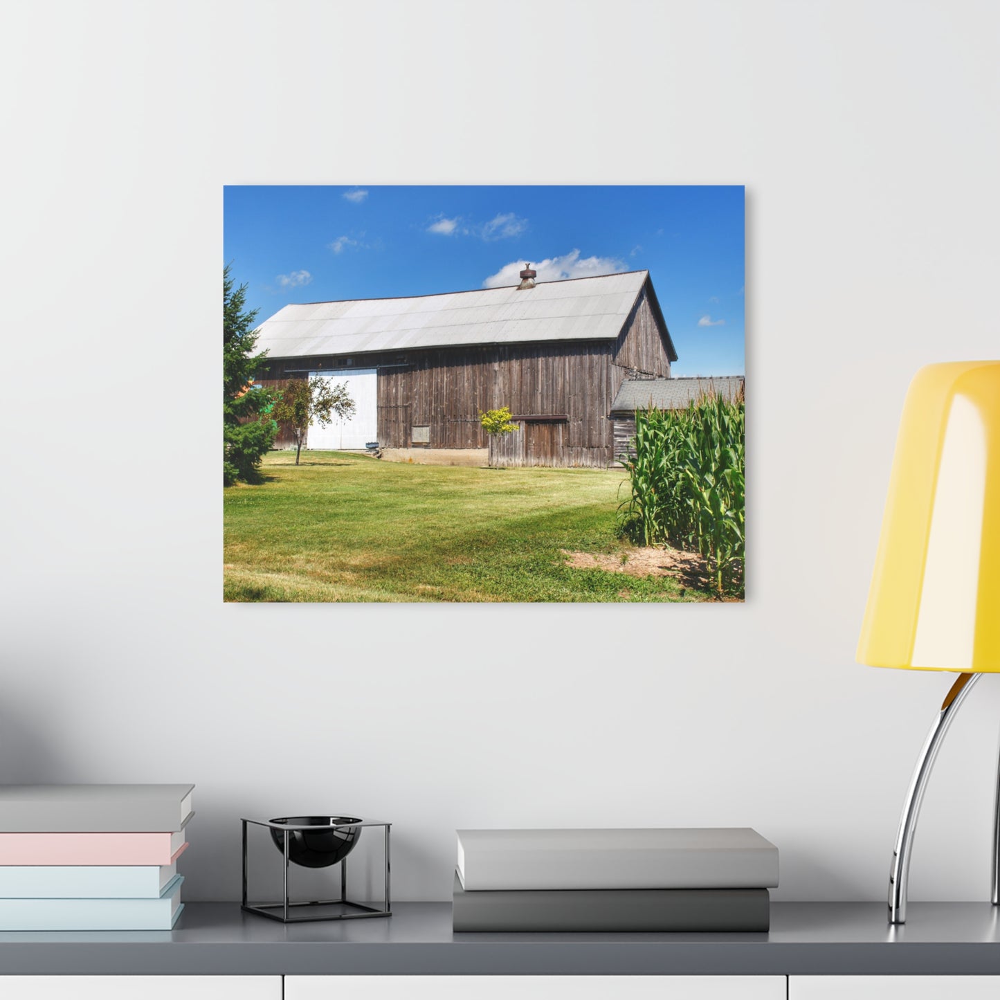 U R There Photography Frog Barn Rustic Farmhouse Acrylic Wall Print
