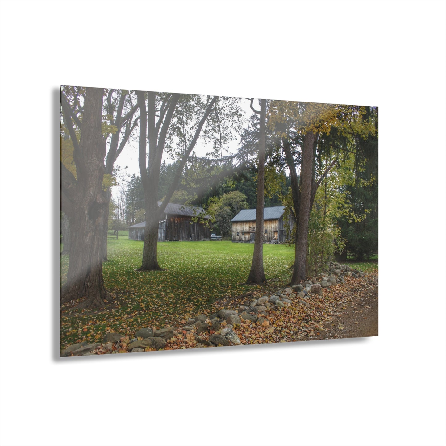 U R There Photography Wilder Road Greys I Rustic Farmhouse Acrylic Wall Print