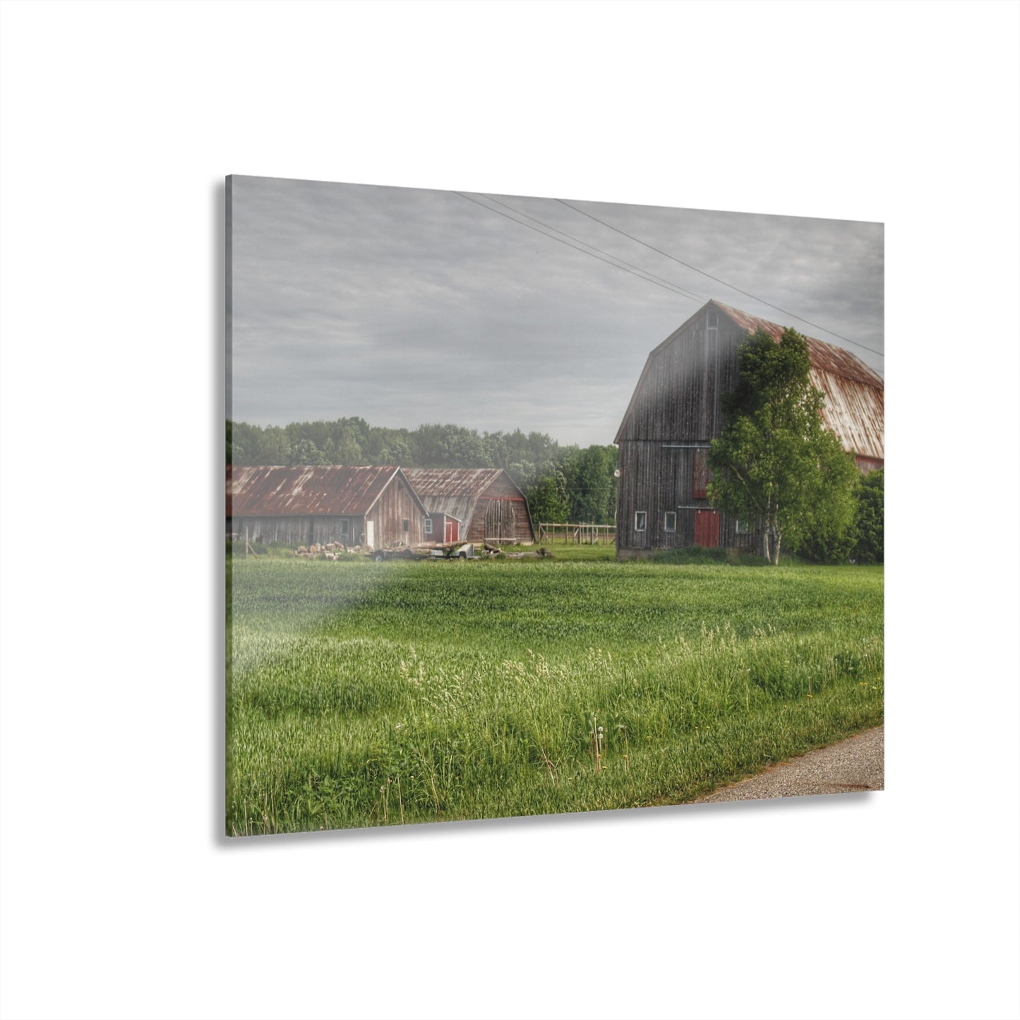 U R There Photography Barkley Road Trio Rustic Farmhouse Acrylic Wall Print