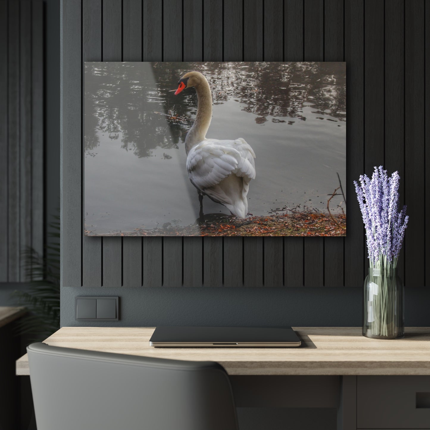 U R There Photography Swans of Duck Lake III Rustic Farmhouse Acrylic Wall Print