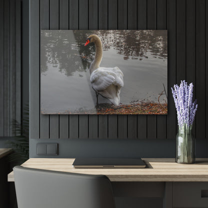 U R There Photography Swans of Duck Lake III Rustic Farmhouse Acrylic Wall Print