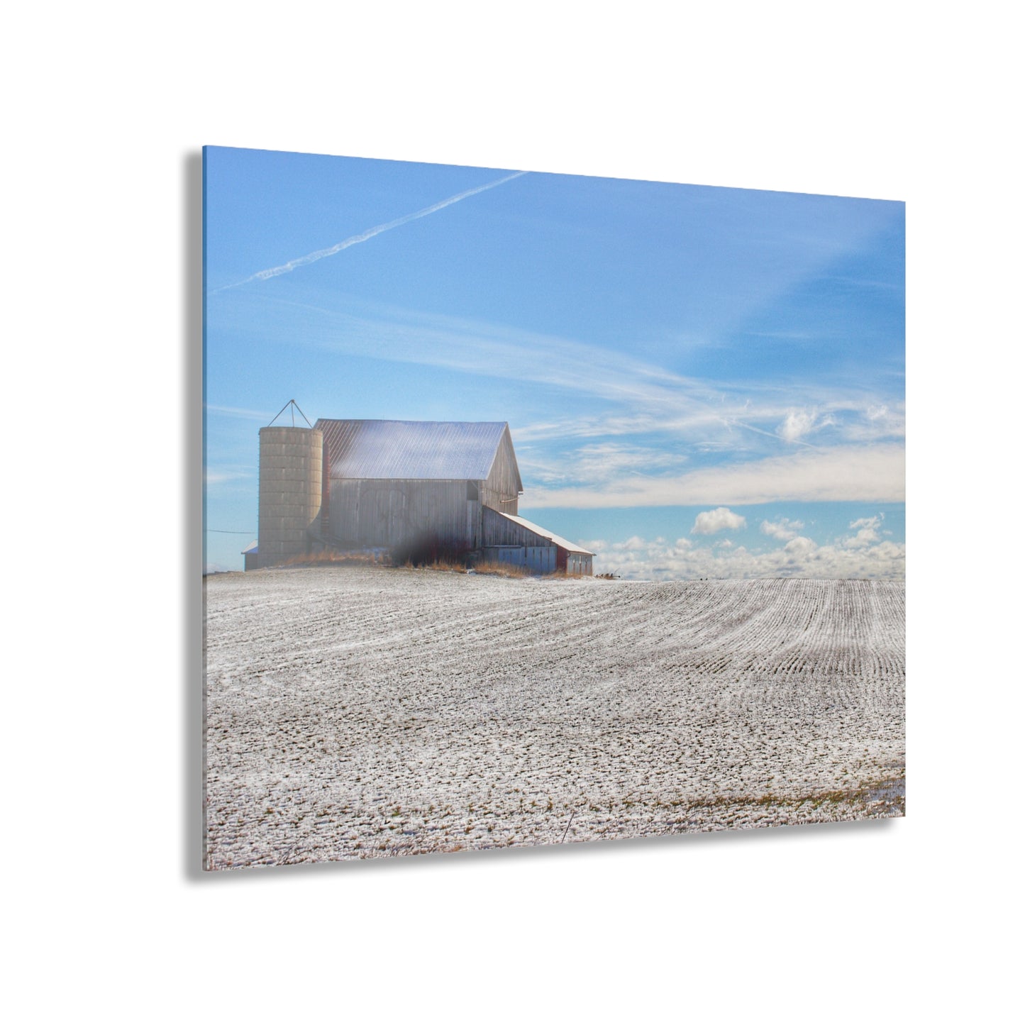 U R There Photography Early Spring Grey II Rustic Farmhouse Acrylic Wall Print