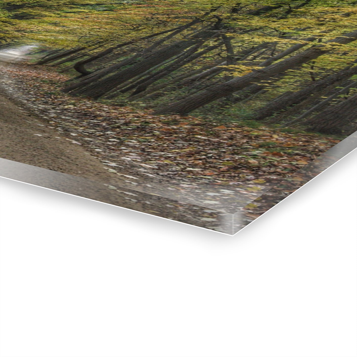 U R There Photography Country Roads in Dryden IV Rustic Farmhouse Acrylic Wall Print