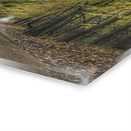 U R There Photography Country Roads in Dryden IV Rustic Farmhouse Acrylic Wall Print