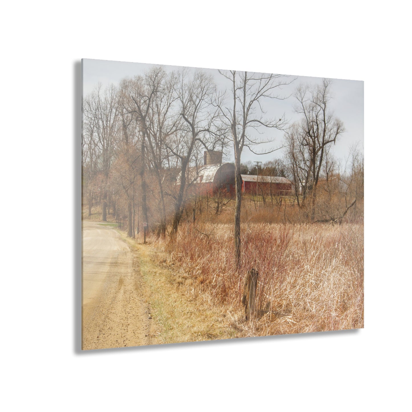 U R There Photography Hough Road Hidden Reds Rustic Farmhouse Acrylic Wall Print