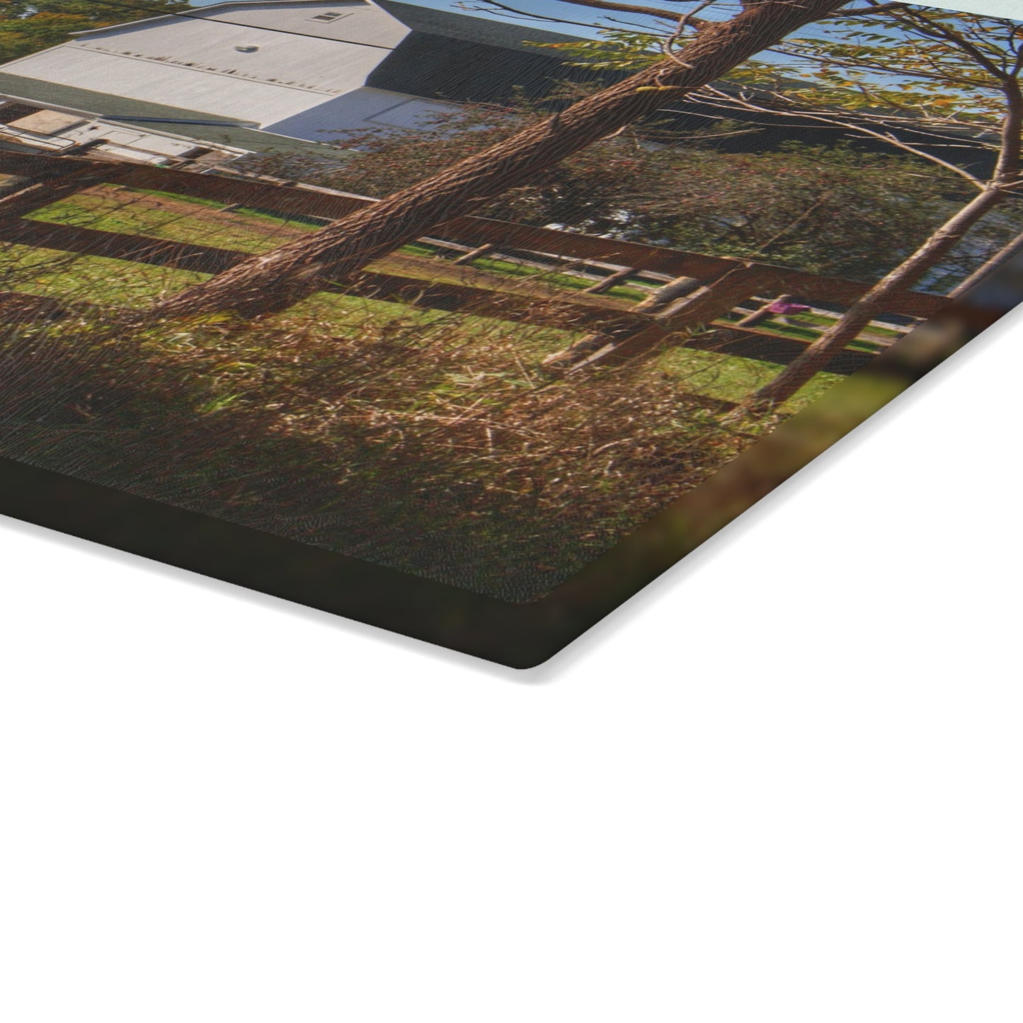 U R There Photography Oakwood Road White I Rustic Farmhouse Tempered-Glass Cutting Board