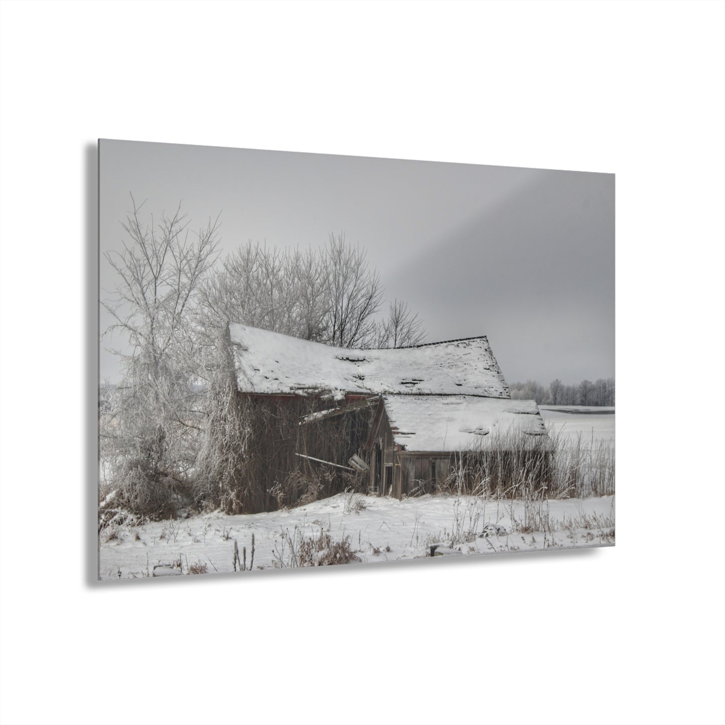 U R There Photography Grey Shacks of Mayville Rustic Farmhouse Acrylic Wall Print