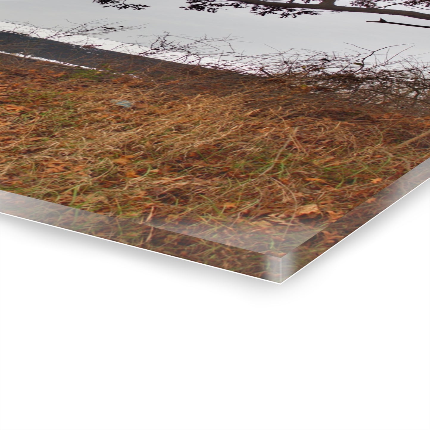 U R There Photography North Oxford Road Grey II Rustic Farmhouse Acrylic Wall Print