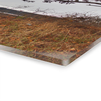 U R There Photography North Oxford Road Grey II Rustic Farmhouse Acrylic Wall Print