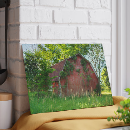 U R There Photography Murphy Lake Road Old Red Rustic Farmhouse Tempered-Glass Cutting Board