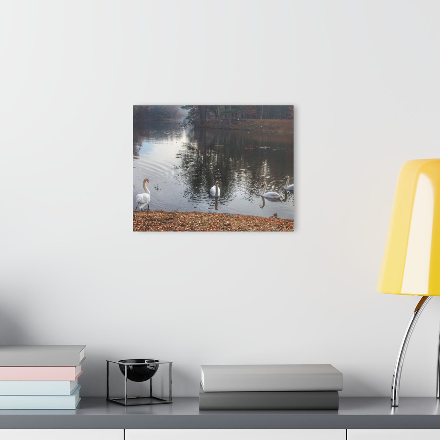 U R There Photography Swans of Duck Lake I Rustic Farmhouse Acrylic Wall Print