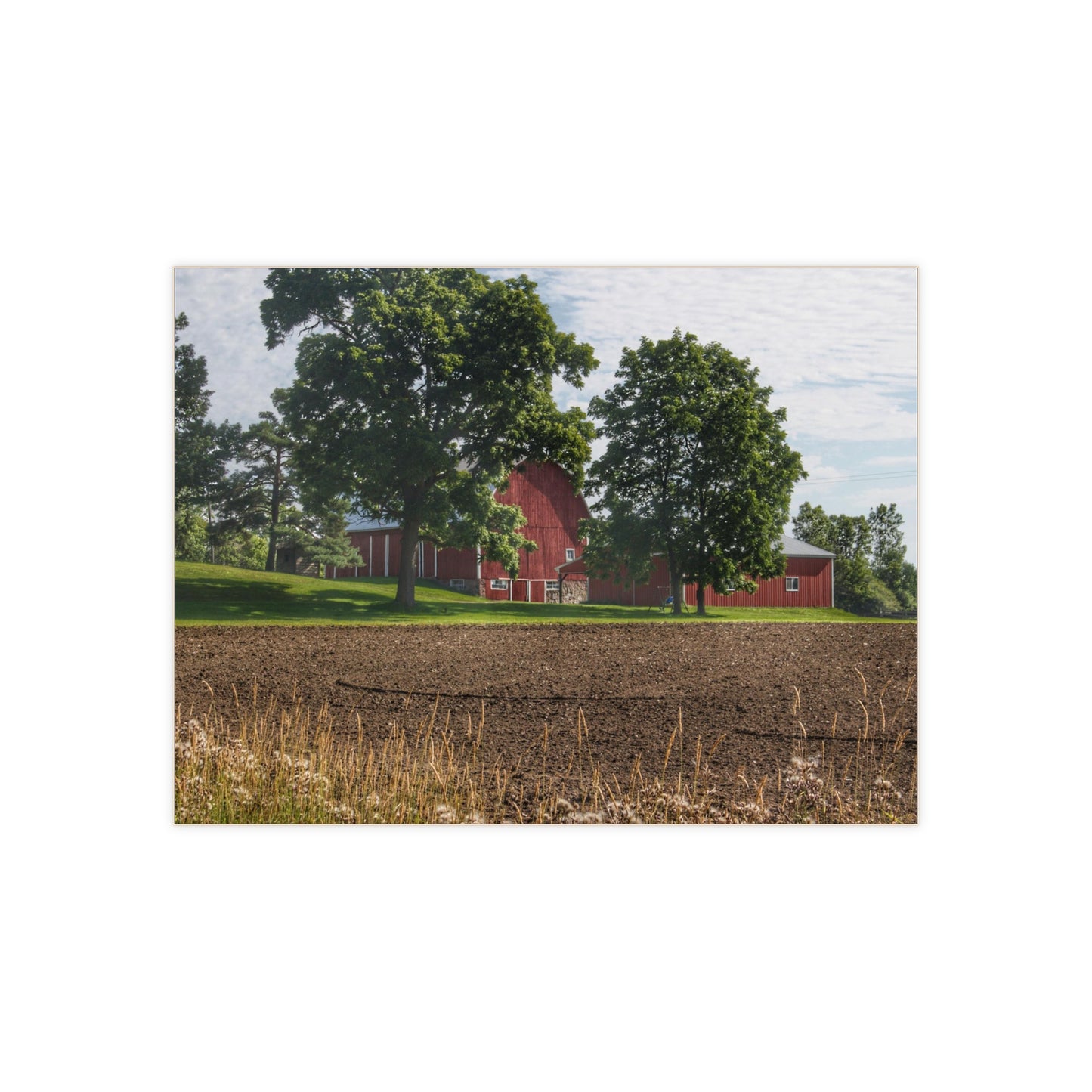 U R There Photography Catlin Road Red II Rustic Farmhouse Decorative Ceramic Tile