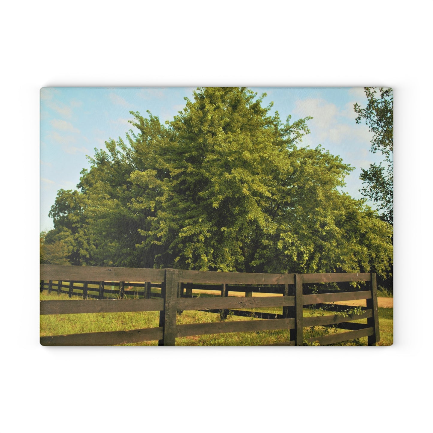 U R There Photography Country Fence and Tree in Metamora Rustic Farmhouse Tempered-Glass Cutting Board