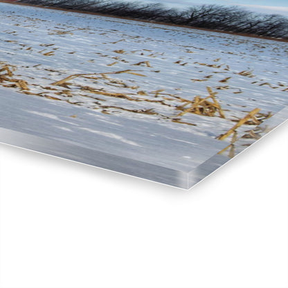 U R There Photography Across Barnes Road Frozen Cornfield Rustic Farmhouse Acrylic Wall Print