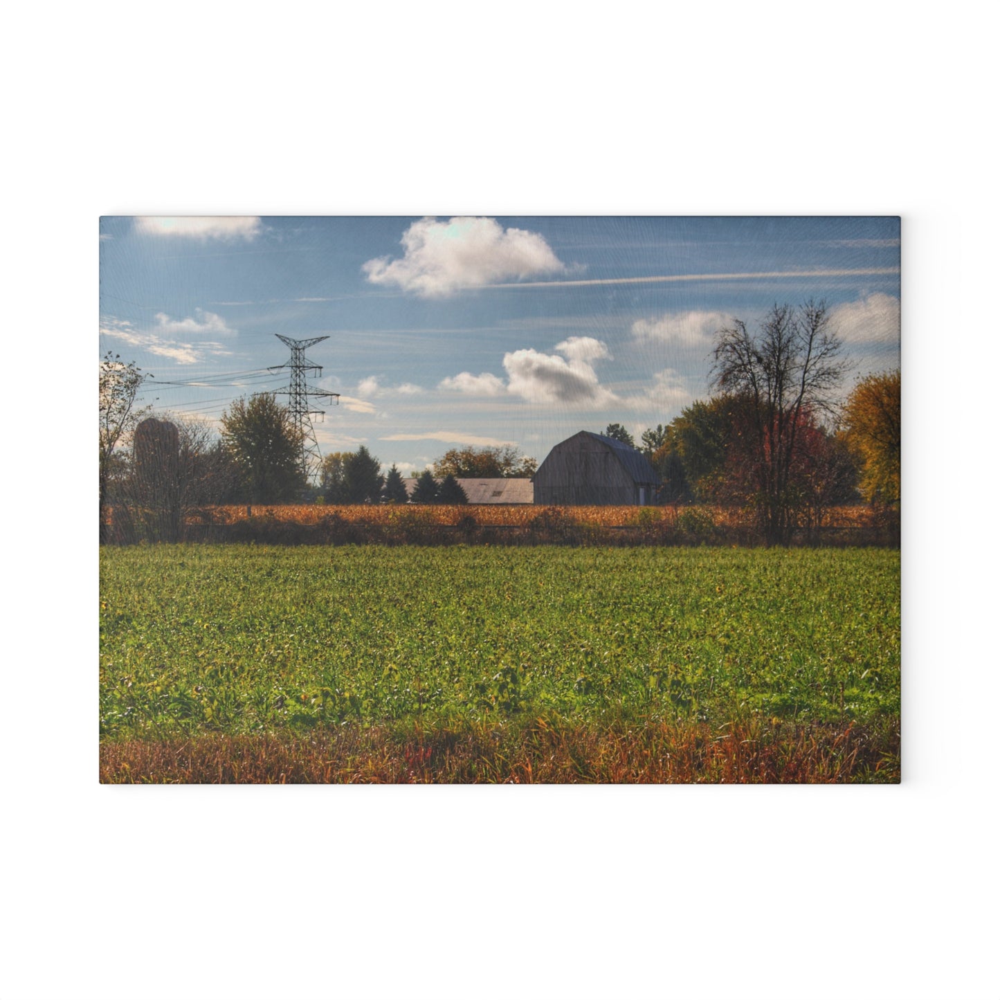 U R There Photography Wadsworth Road Grey Rustic Farmhouse Tempered-Glass Cutting Board