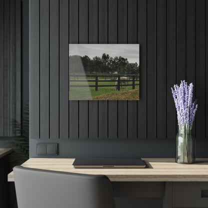 Barn Boutique Modern Farmhouse Acrylic Wall Print| Beyond the Fence White