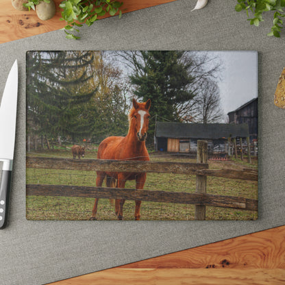 U R There Photography South Summers Road Old Grey and Caramel I Rustic Farmhouse Tempered-Glass Cutting Board