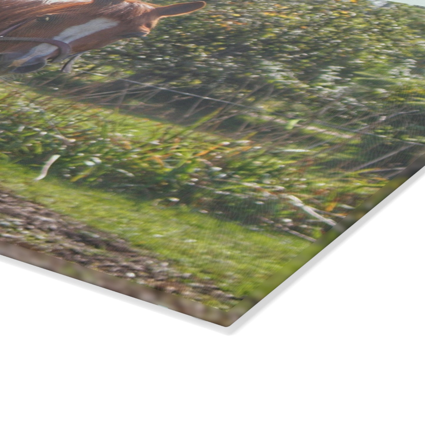 U R There Photography Froede Road Chestnut Brown Rustic Farmhouse Tempered-Glass Cutting Board