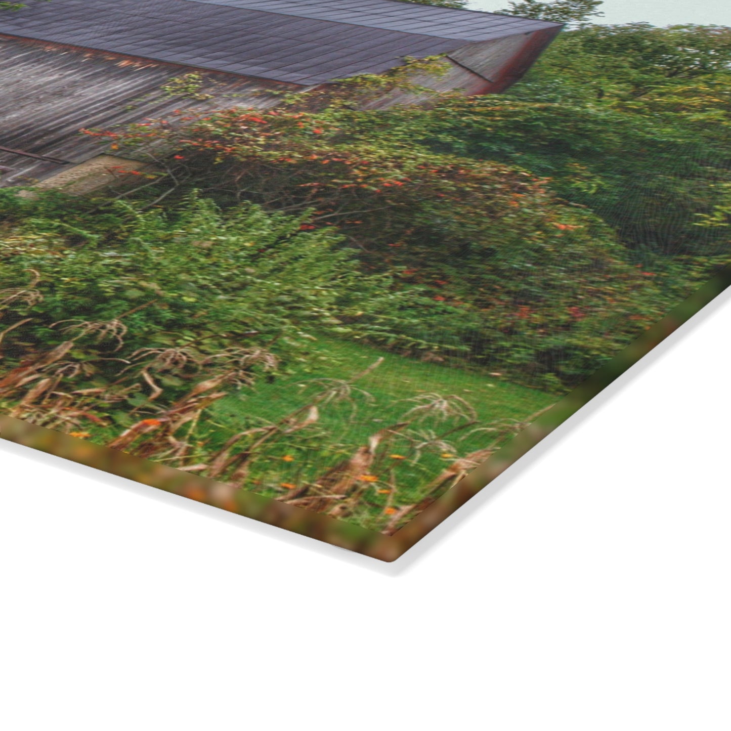 U R There Photography North Lake Road Hidden Grey Rustic Farmhouse Tempered-Glass Cutting Board