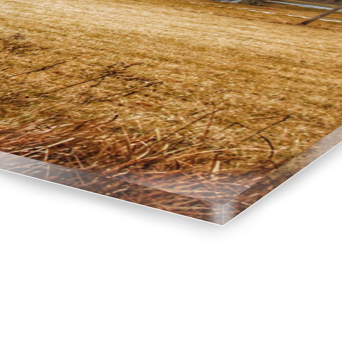 U R There Photography Laur Road Grey Rustic Farmhouse Acrylic Wall Print