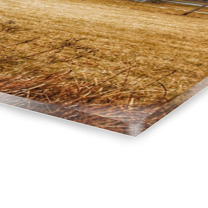 U R There Photography Laur Road Grey Rustic Farmhouse Acrylic Wall Print