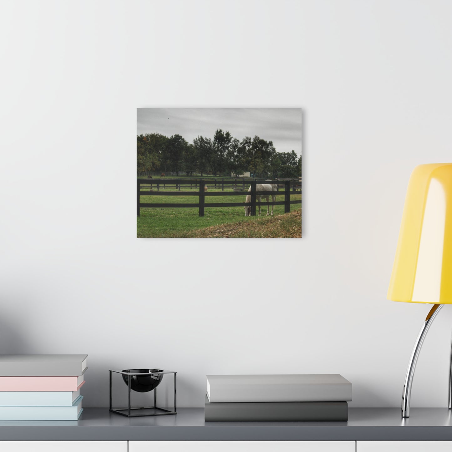 Barn Boutique Modern Farmhouse Acrylic Wall Print| Beyond the Fence White