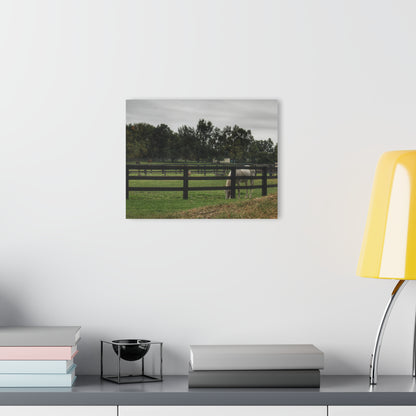 Barn Boutique Modern Farmhouse Acrylic Wall Print| Beyond the Fence White