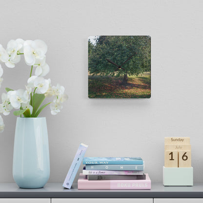 U R There Photography Frankenmuth Apple Tree Rustic Farmhouse Acrylic Analog Wall Clock