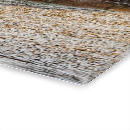 U R There Photography Hough Road Hidden Winter Red II Rustic Farmhouse Acrylic Wall Print